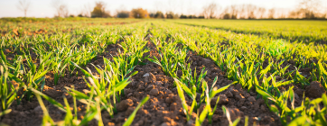 Design sans titre (99)